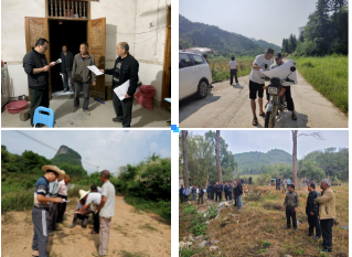 廣西654產地鐘山燕塘鎮