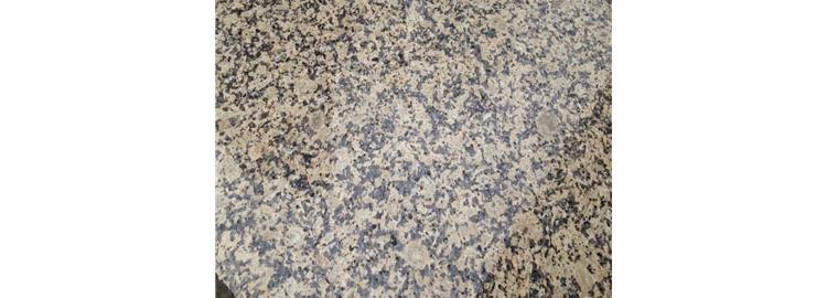 江西菊花黃價格 中黃菊花黃石材在哪里