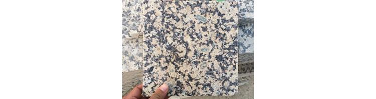 江西菊花黃價格 中黃菊花黃石材在哪里