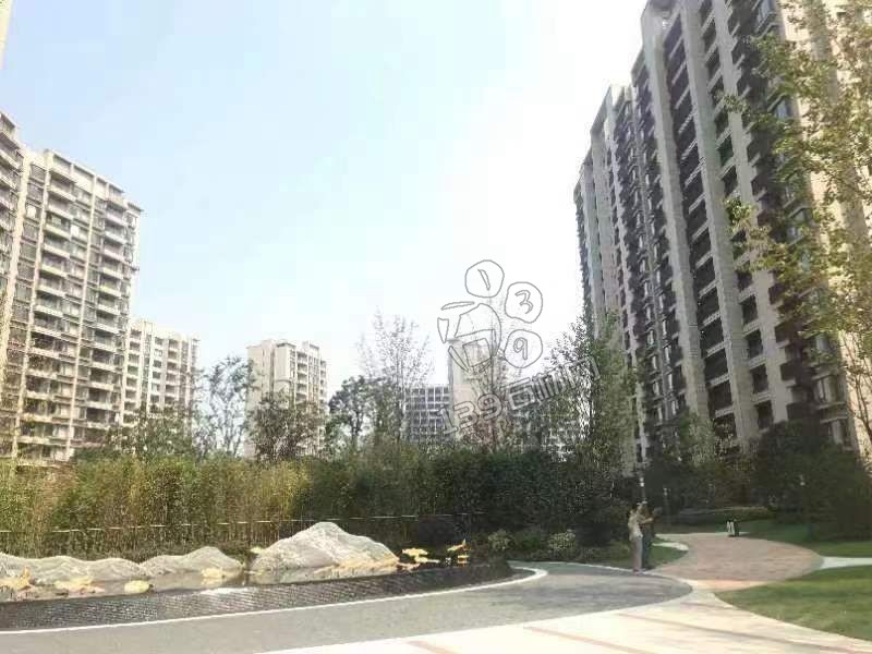 國產加多利金花崗巖案例