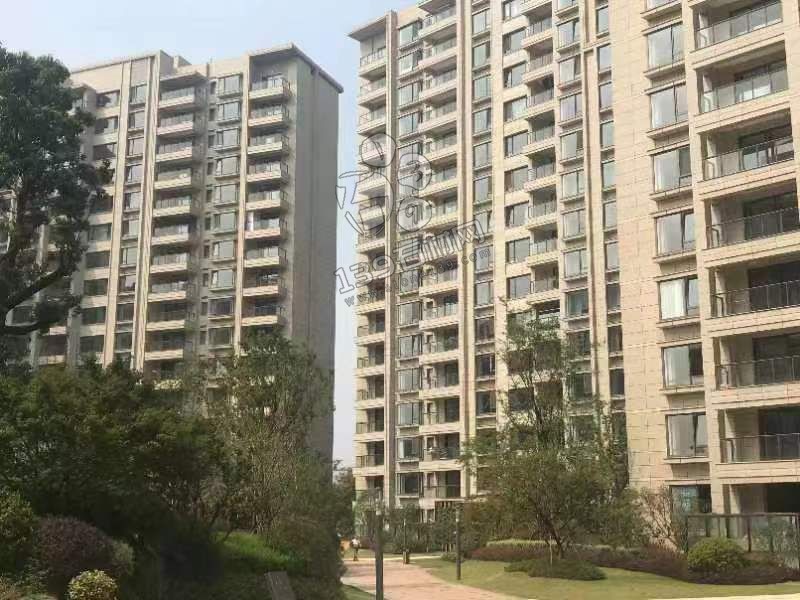 國產加多利金花崗巖案例