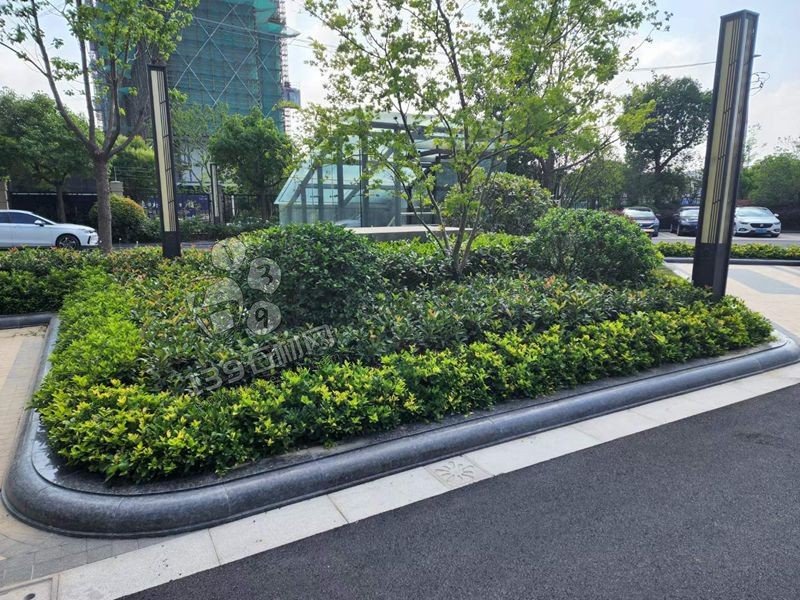 小區路沿石用進口花崗巖裝飾的實拍案例