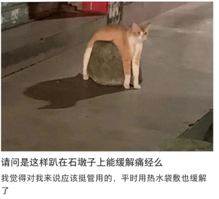 擋車圓球要漲價了?高溫下的擋車石居然是女性痛經殺手!附擋車石(球)欣賞! 石材擋車球 擋車柱