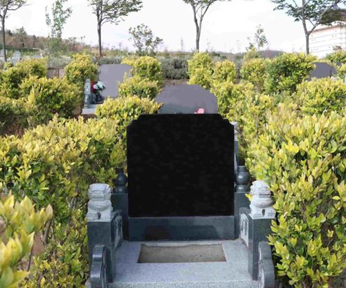 墓碑好石材:四川冕寧縣鳳凰黑石材欣賞