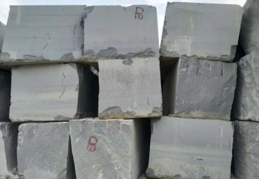 山東省石材協會張進生會長一行調研走訪山東藍星礦業發展有限公司 章丘灰山東芝麻黑