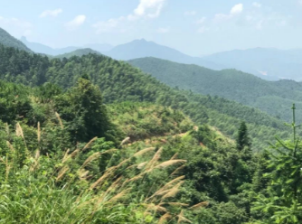 這些石材變廢為寶的方法你知道多少? 石材變廢為寶的應用