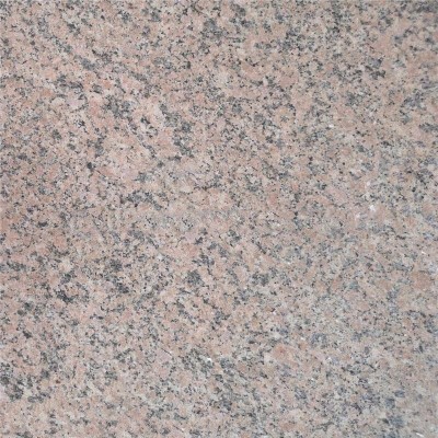 阿拉善紅火燒面（諾爾紅、新五蓮紅、天山紅）