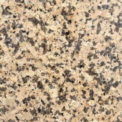 阿拉善黃光面、黃金麻'