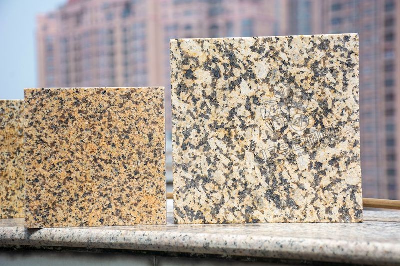 江西菊花黃與新疆菊花黃對比