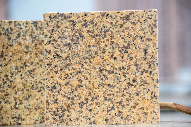 江西菊花黃與新疆菊花黃對比