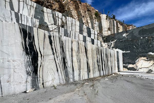 巴西斑馬白大理石