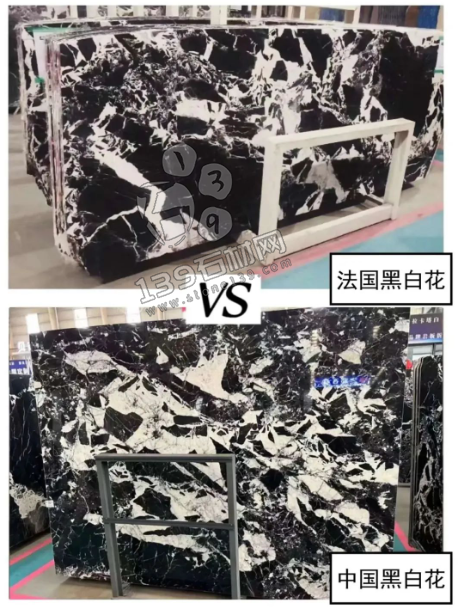 拿破侖黑(法國黑白花)與國產黑白花的對比 黑白花