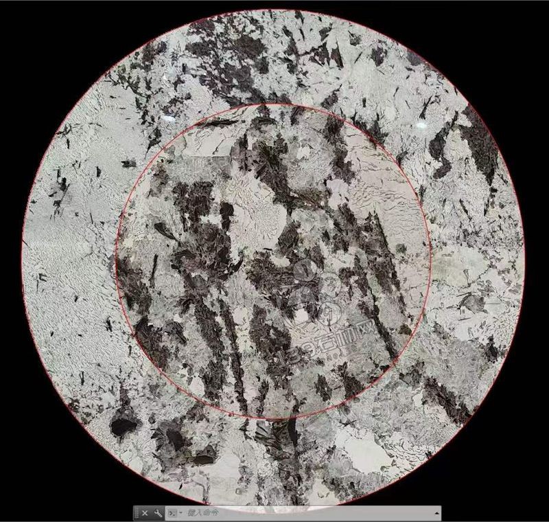 巴西進口奢石雪山蘭石材