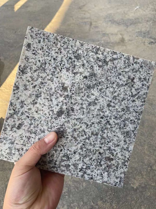 新礦芝麻黑芝麻白