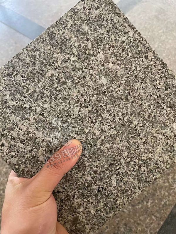 新礦芝麻黑芝麻白